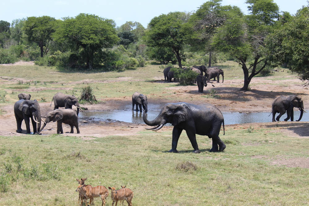 Volunteering Zululand | Freiwilligenarbeit Zululand