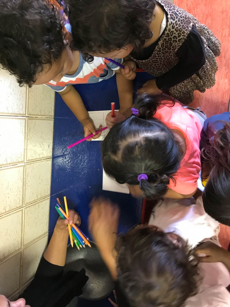 Volunteering Cape Town | Freiwilligenarbeit Kapstadt