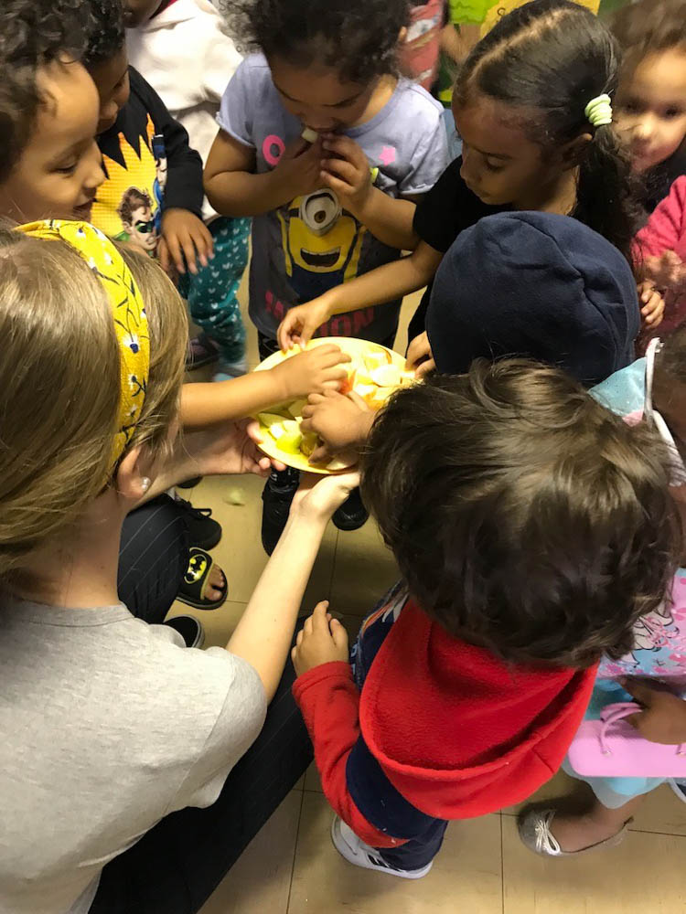 Volunteering Cape Town | Freiwilligenarbeit Kapstadt
