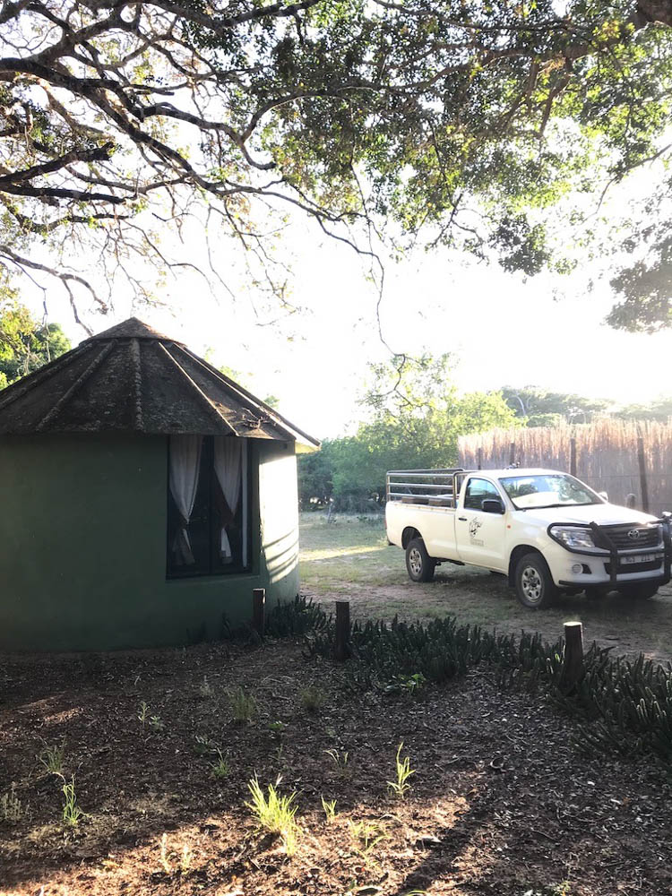 Volunteering Zululand | Freiwilligenarbeit Zululand