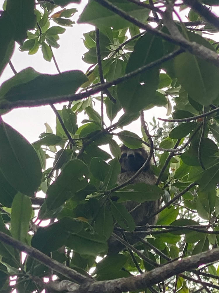 Erlebnisreise Costa Rica