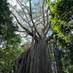 Erlebnisreise Australien