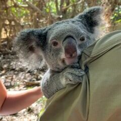 Erlebnisreise Australien