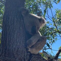 Erlebnisreise Australien