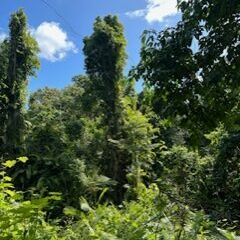Erlebnisreise Australien